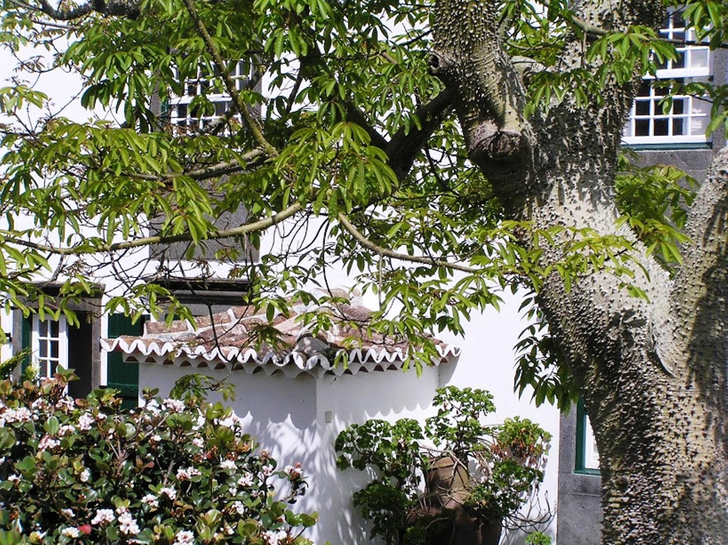 Casa Das Calhetas - Turismo De Habitacao Exterior foto